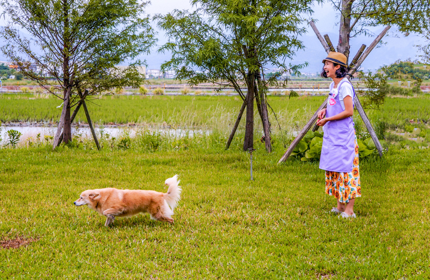 Loherb Island-style Rooms are Pet-Friendly
