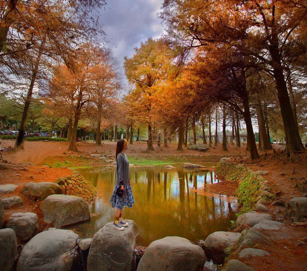 Best Photogenic Metasequoia Hideaways in Yilan