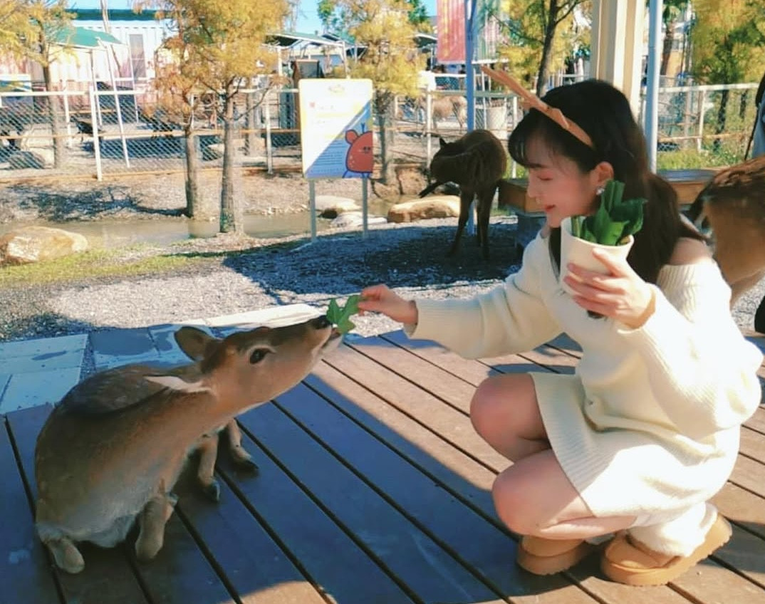 Yilan Animal Family Park: Fun at Star Dream Forest Theater