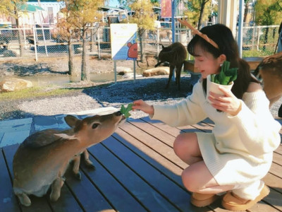 Yilan Animal Family Park: Fun at Star Dream Forest Theater