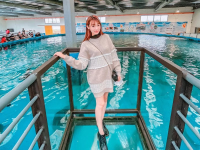 Summer Aquatic Getaway: King Car Aquatic Life Research Center in Yilan