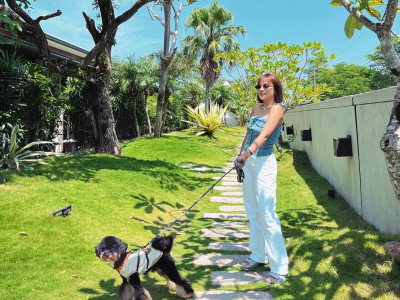 Top Pet-Friendly Homestays in Yilan for Traveling with Your Fur Baby